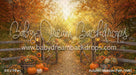 Autumn Meadow Path (WM)