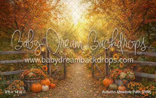 Autumn Meadow Path (WM)