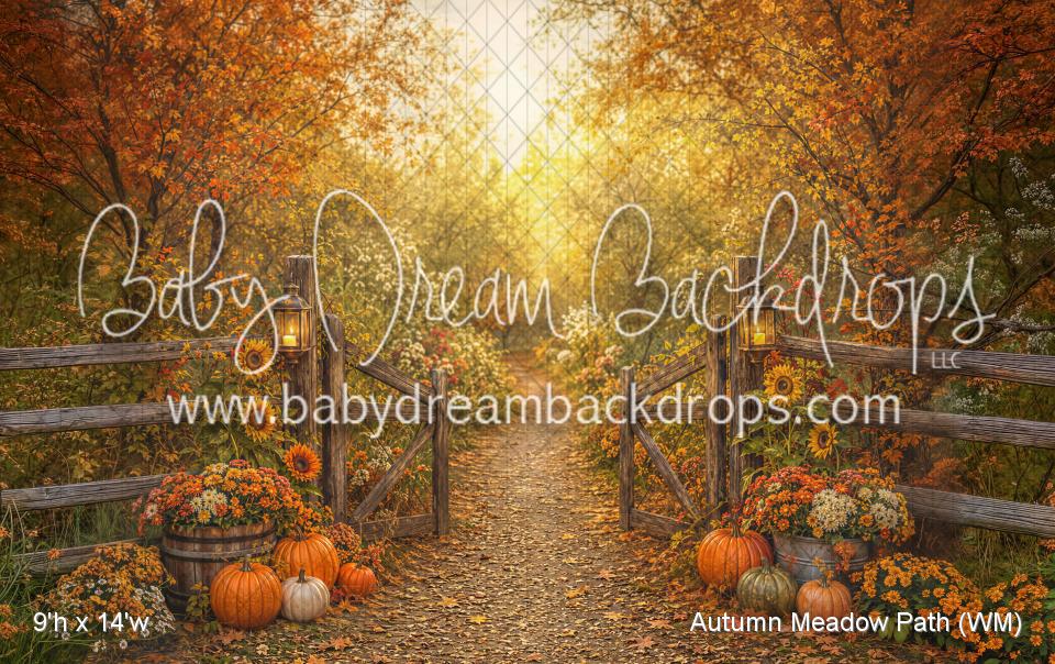 Autumn Meadow Path (WM)