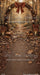 Autumn Passage Arch Sweep (GO)