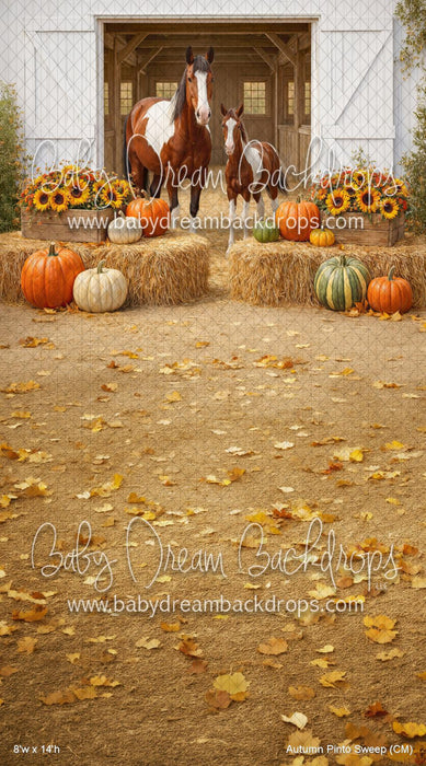 Autumn Pinto Sweep (CM)
