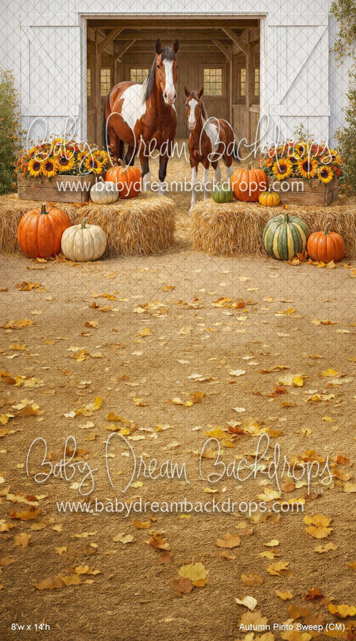 Autumn Pinto Sweep (CM)