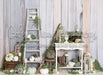 Autumn Sage Potting Shed (JG)