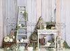 Autumn Sage Potting Shed (JG)