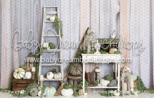 Autumn Sage Potting Shed (JG)