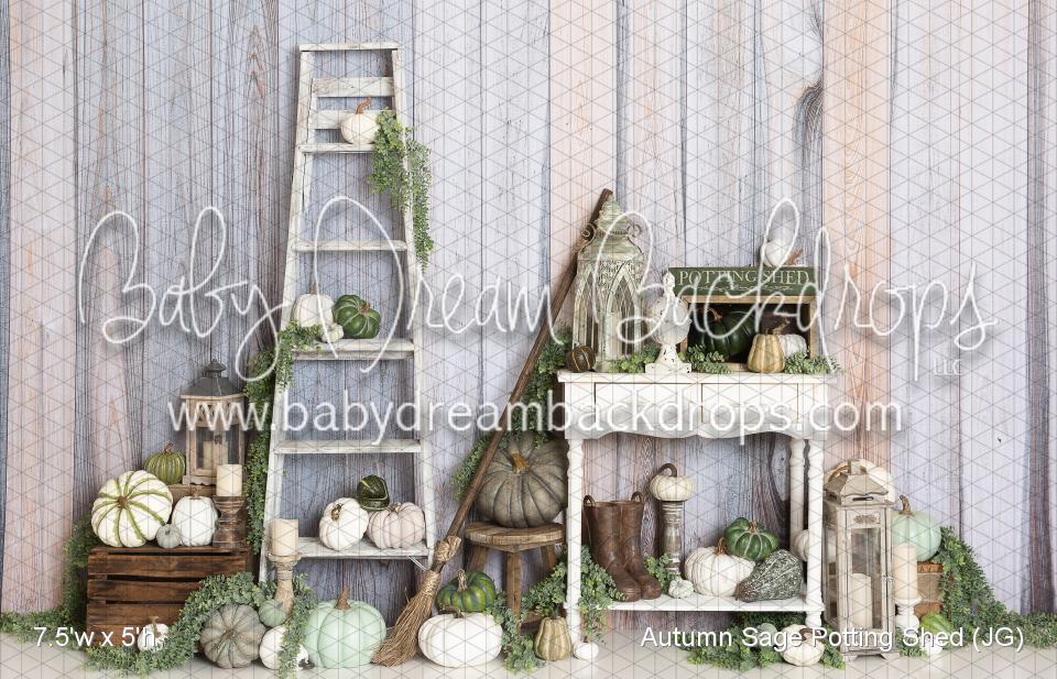 Autumn Sage Potting Shed (JG)