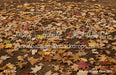 Autumn Station Fabric Floor (BD)