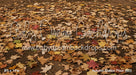 Autumn Station Fabric Floor (BD)