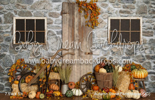 Autumn Stone Farm House (JG)