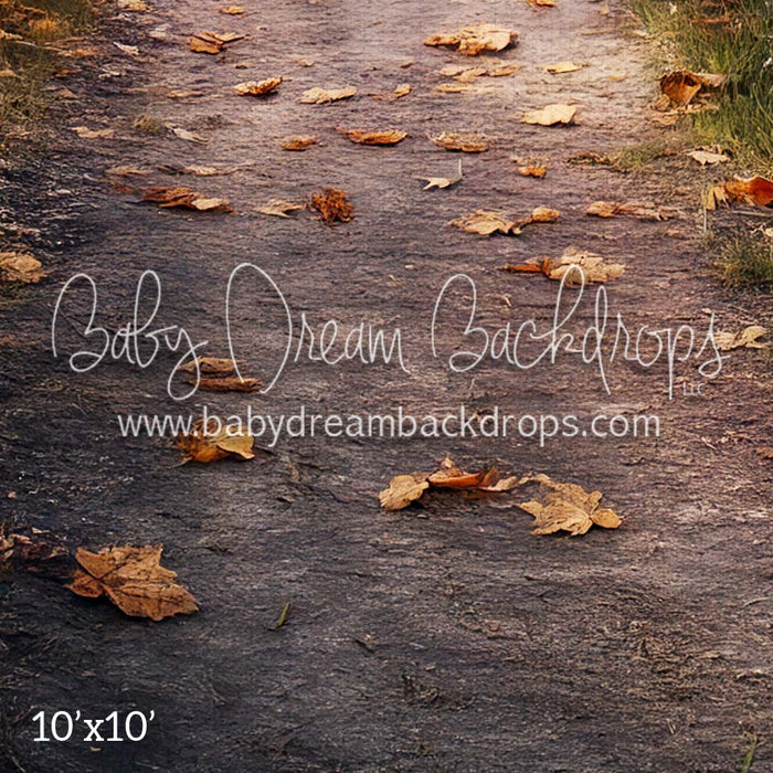 Autumn Sunset Fabric Floor (CM)