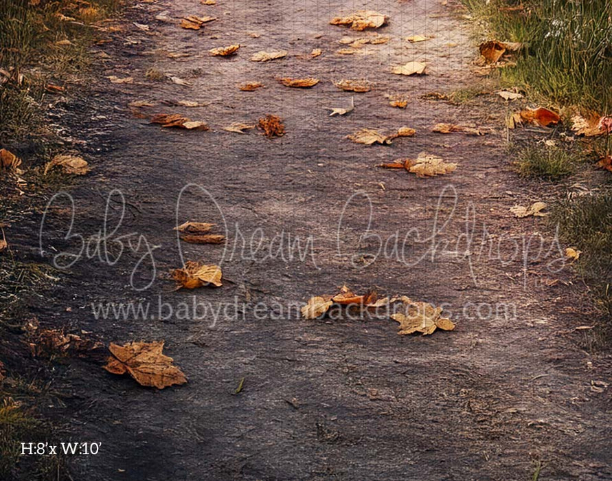 Autumn Sunset Fabric Floor (CM)