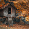 Autumn Treehouse (MD)