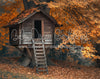 Autumn Treehouse (MD)