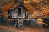 Autumn Treehouse (MD)