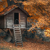 Autumn Treehouse (MD)