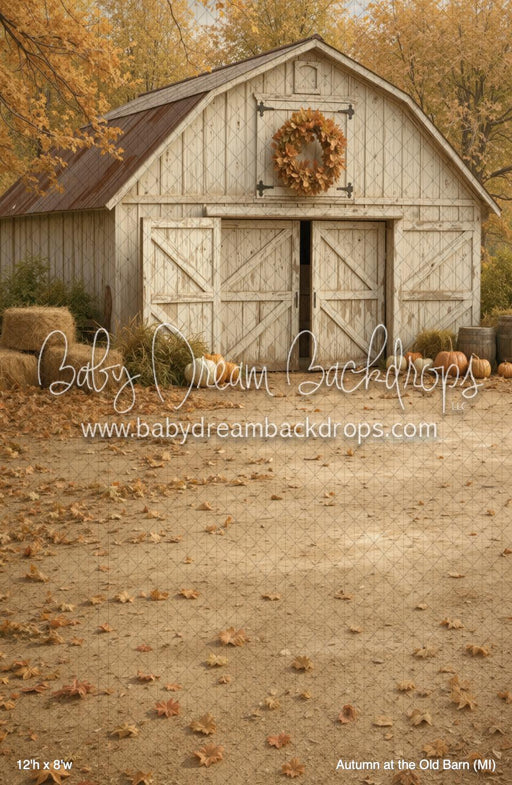 Autumn at the Old Barn (MI)