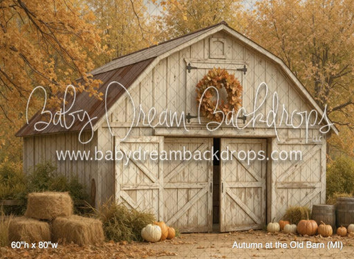 Autumn at the Old Barn (MI)