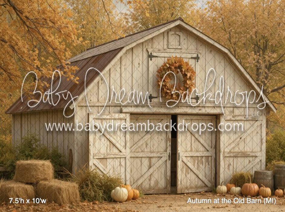 Autumn at the Old Barn (MI)