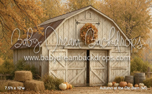 Autumn at the Old Barn (MI)
