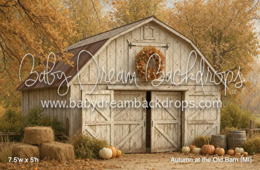 Autumn at the Old Barn (MI)