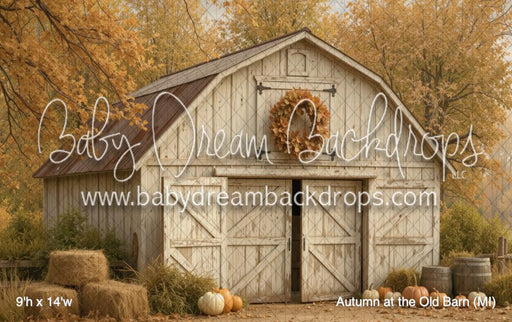 Autumn at the Old Barn (MI)