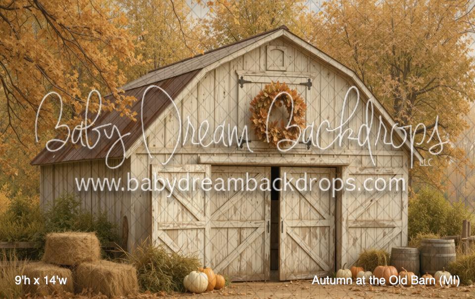 Autumn at the Old Barn (MI)