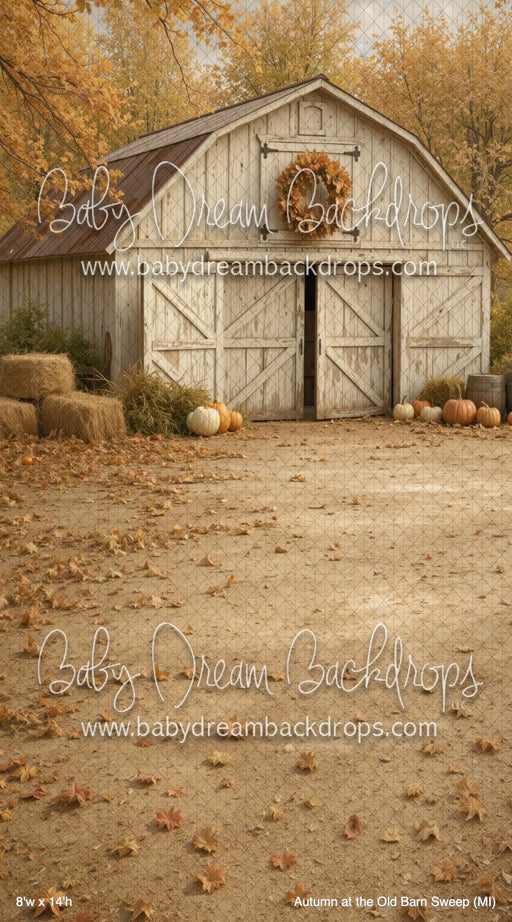 Autumn at the Old Barn Sweep (MI)