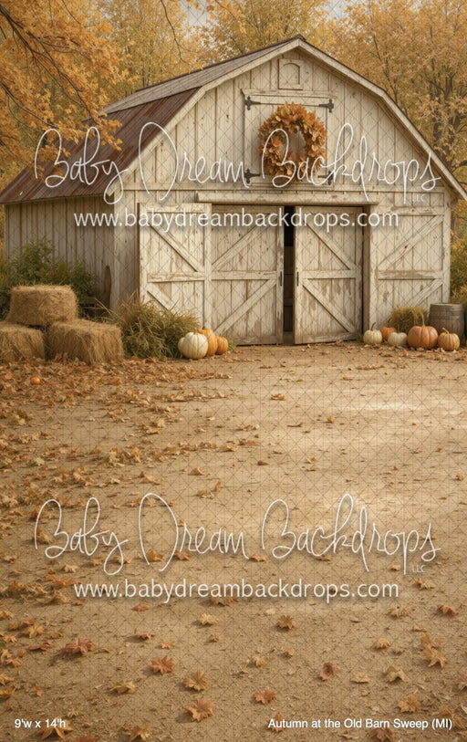 Autumn at the Old Barn Sweep (MI)