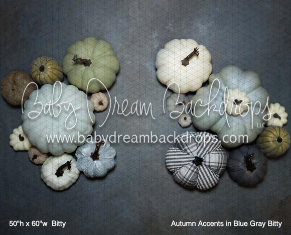 Autumn Accents in Blue Gray Bitty (BM)