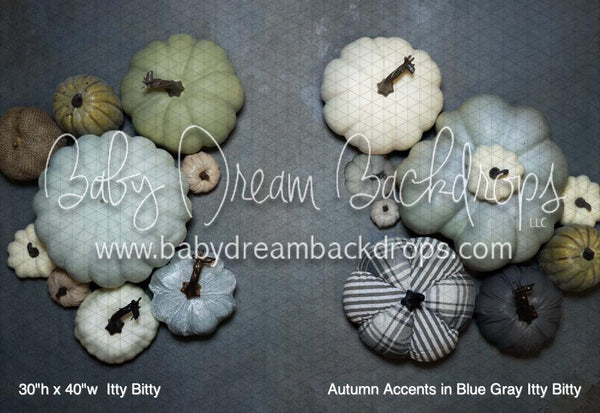 Autumn Accents in Blue Gray Itty Bitty (BM)