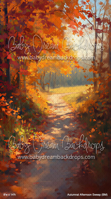 Autumnal Afternoon Sweep (BM)