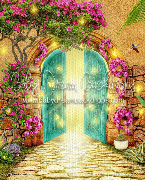 BItty Enchanted Princess Door (WM)