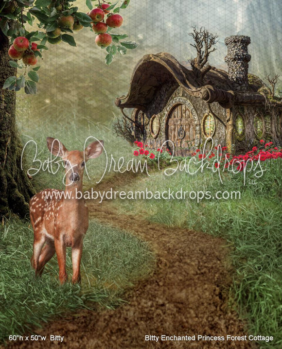 BItty Enchanted Princess Forest Cottage (WM)