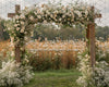 Baby Breath Arch (JA)