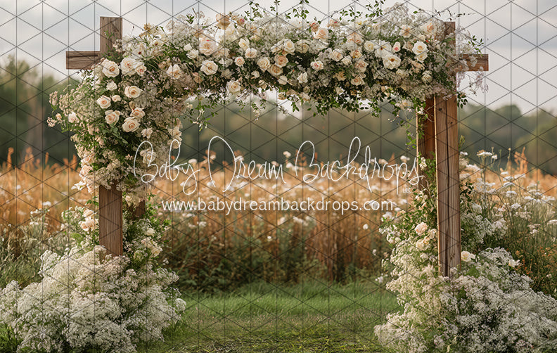 Baby Breath Arch (JA)