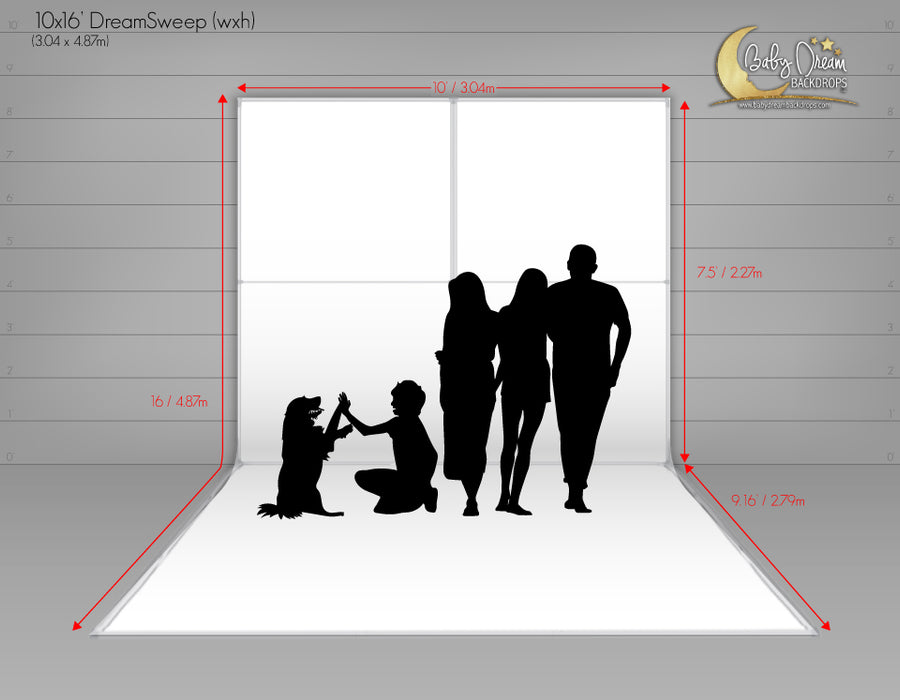 DreamEasy DreamSweep Extension – 10' Ground Frame (for 10×16' DreamSweep)