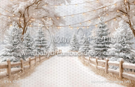 Backroads Christmas (VR)