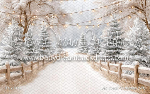 Backroads Christmas (VR)