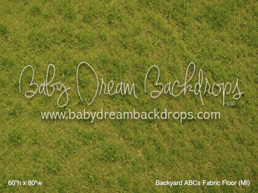 Backyard ABCs Fabric Floor (MI)