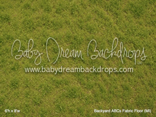 Backyard ABCs Fabric Floor (MI)