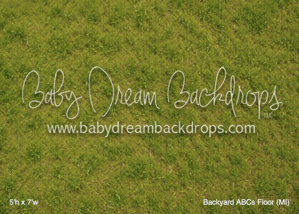 Backyard ABCs Floor (MI)
