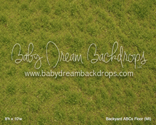 Backyard ABCs Floor (MI)
