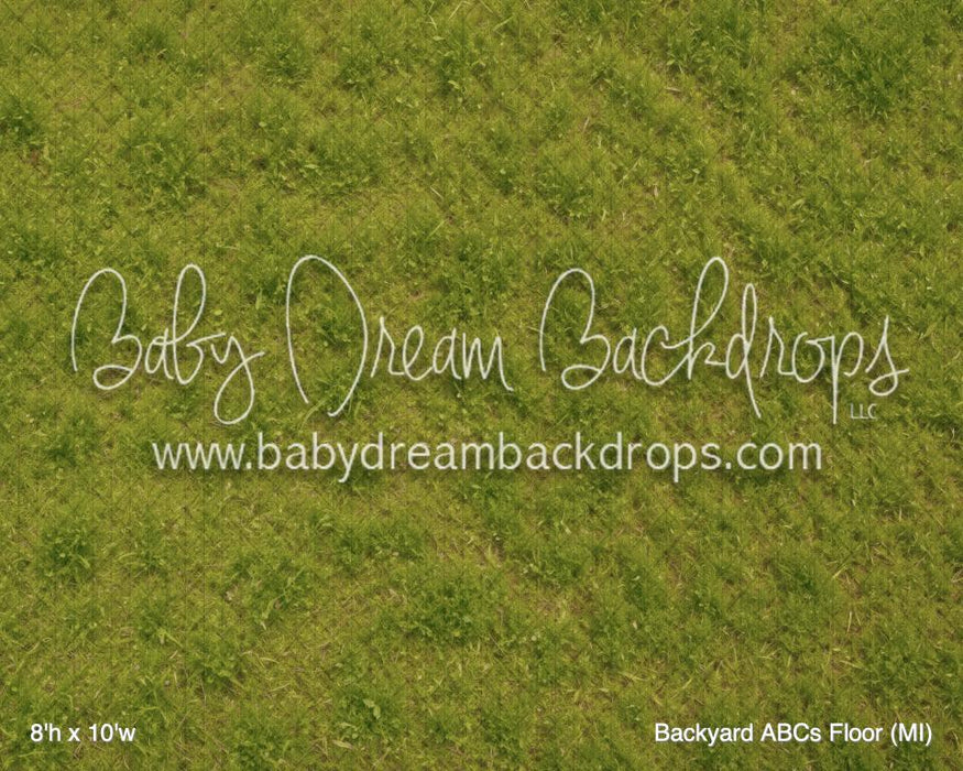 Backyard ABCs Floor (MI)