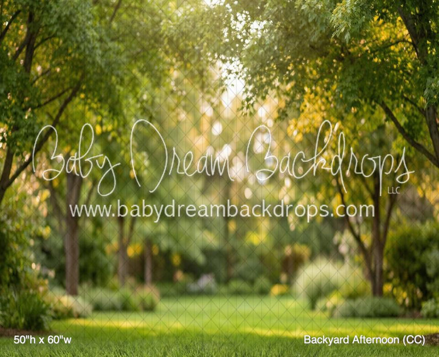 Backyard Afternoon (CC)