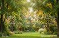 Backyard Afternoon (CC)