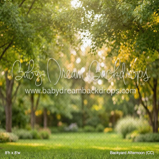 Backyard Afternoon (CC)