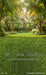 Backyard Afternoon Sweeps (CC)