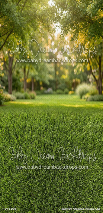 Backyard Afternoon Sweeps (CC)
