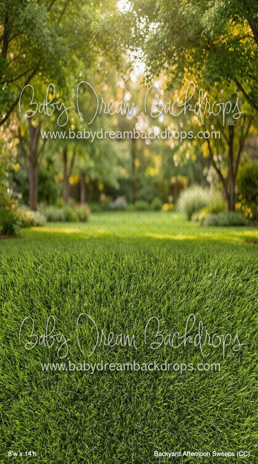 Backyard Afternoon Sweeps (CC)