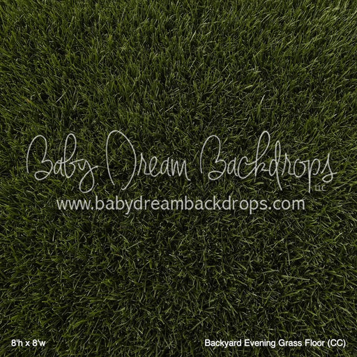 Backyard Evening Grass Floor (CC)